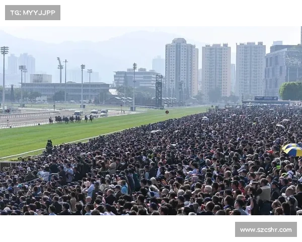 香港女篮精彩赛事强强对话激情四溢展现实力与团队精神魅力绽放
